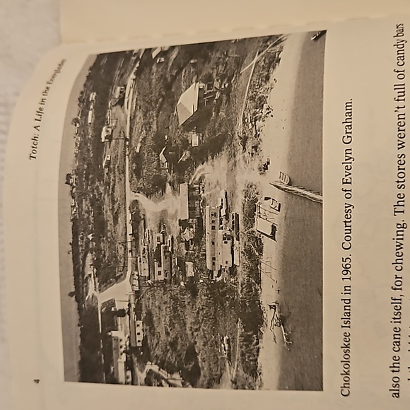 Totch / A Life In The Everglades by Peter Matthiessen Paperback - Picture 14 of 15